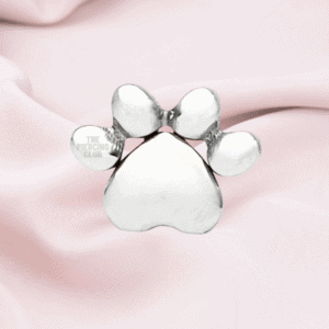 Joya huella de perro lisa / Helix piercing, titanio grado implante