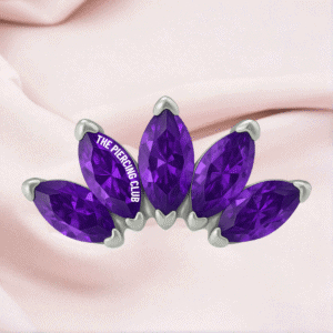 Joya marquise x 5 cristal púrpura deluxe / Helix piercing, titanio grado implante