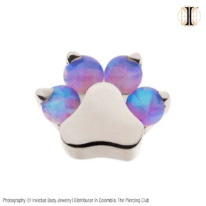 Joya huella de perro con ópalo amatista deluxe / Titanio grado implante / INVICTUS